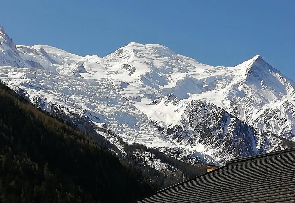 Studio With Balcony, Mt Blanc View, Parking, Center Of シャモニー フランス